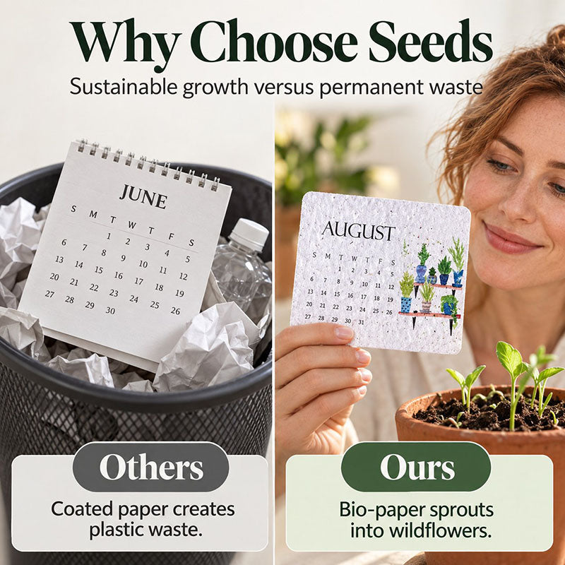 🇺🇸 🌱 2027 Plantable Desk Calendar — A Little Art. A New Beginning.📅
