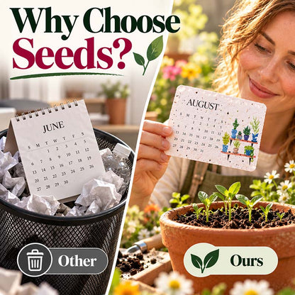 🌱 2027 Plantable Calendar – Use It. Plant It. Watch It Grow.🌱