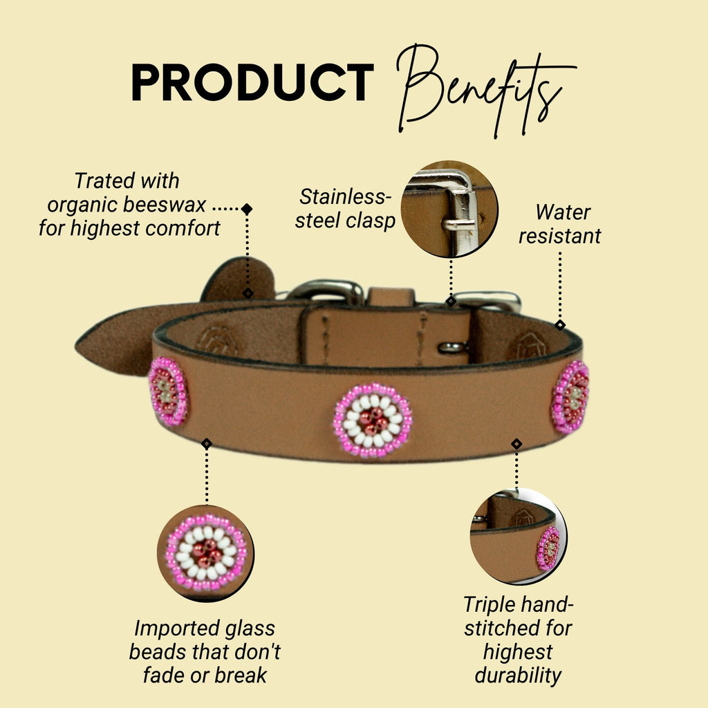 Luna Sambboho dog collar (new Eko collection)
