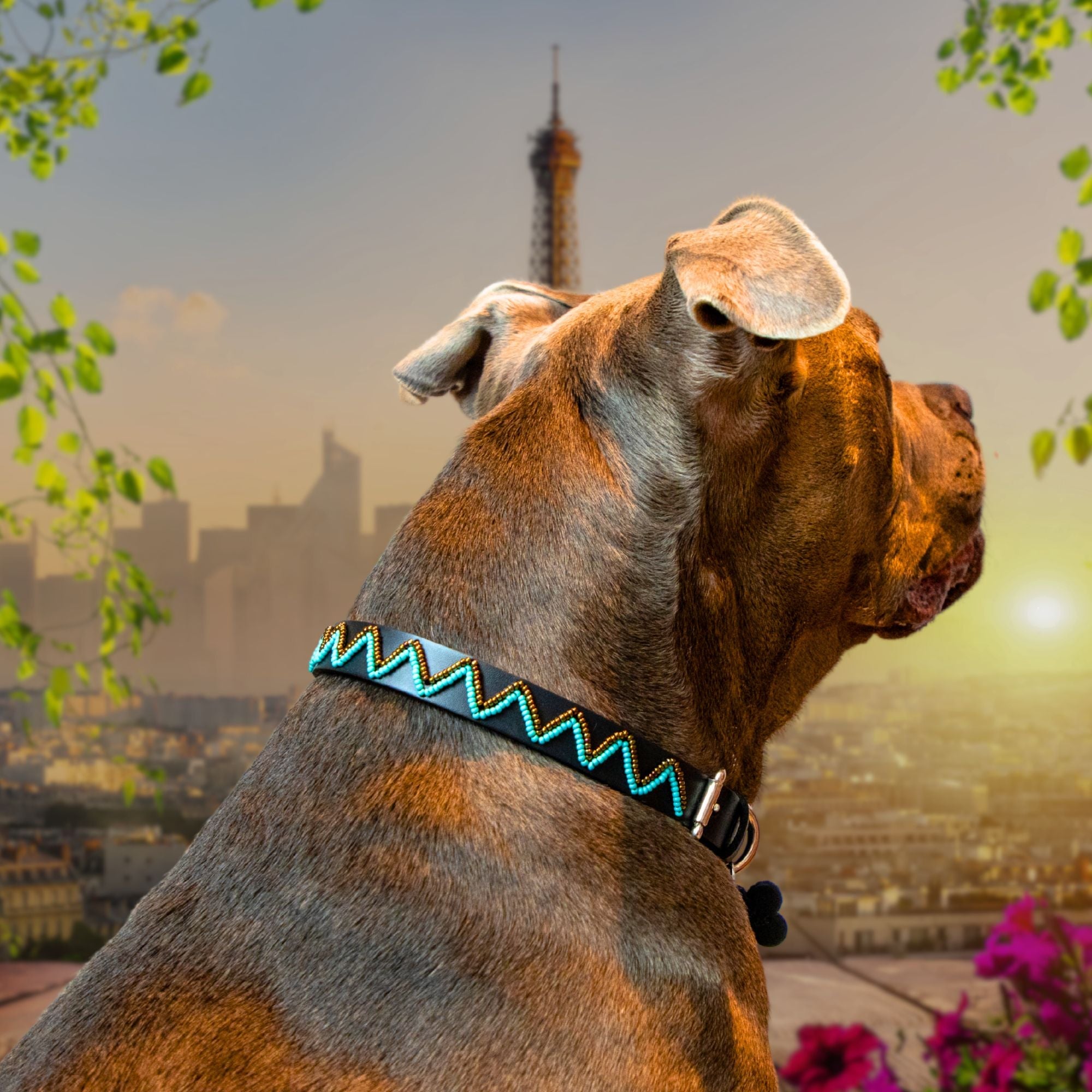 Belo Sambboho dog collar (new Eko collection)