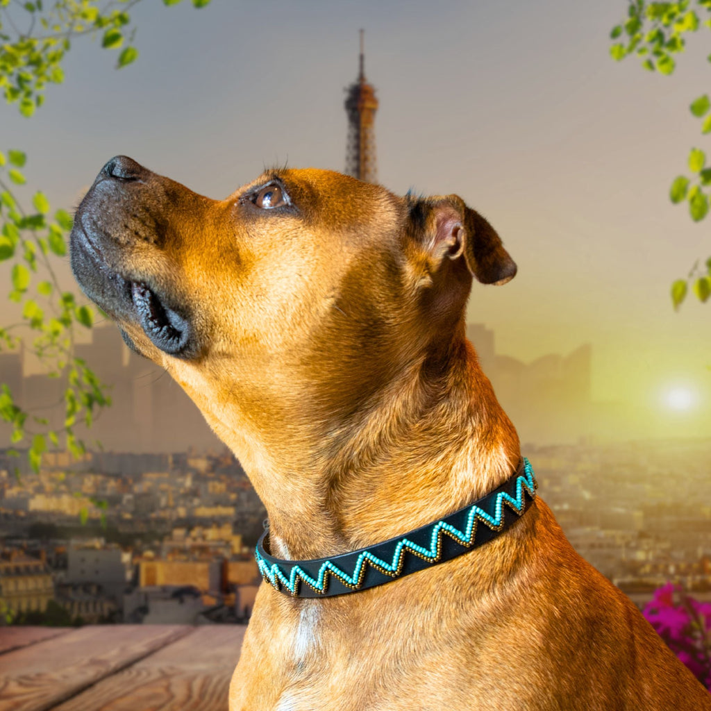 Belo Sambboho dog collar (new Eko collection)