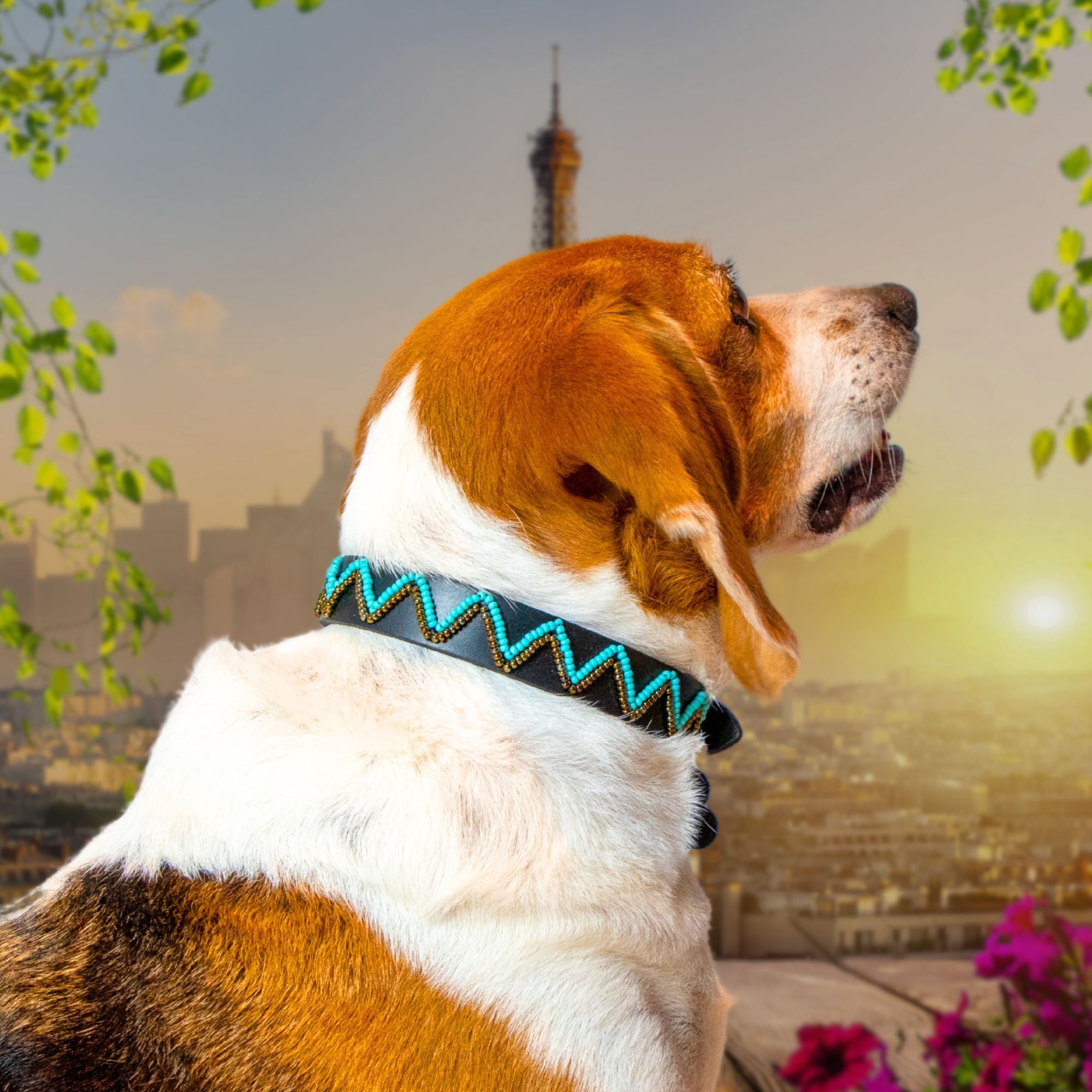 Belo Sambboho dog collar (new Eko collection)