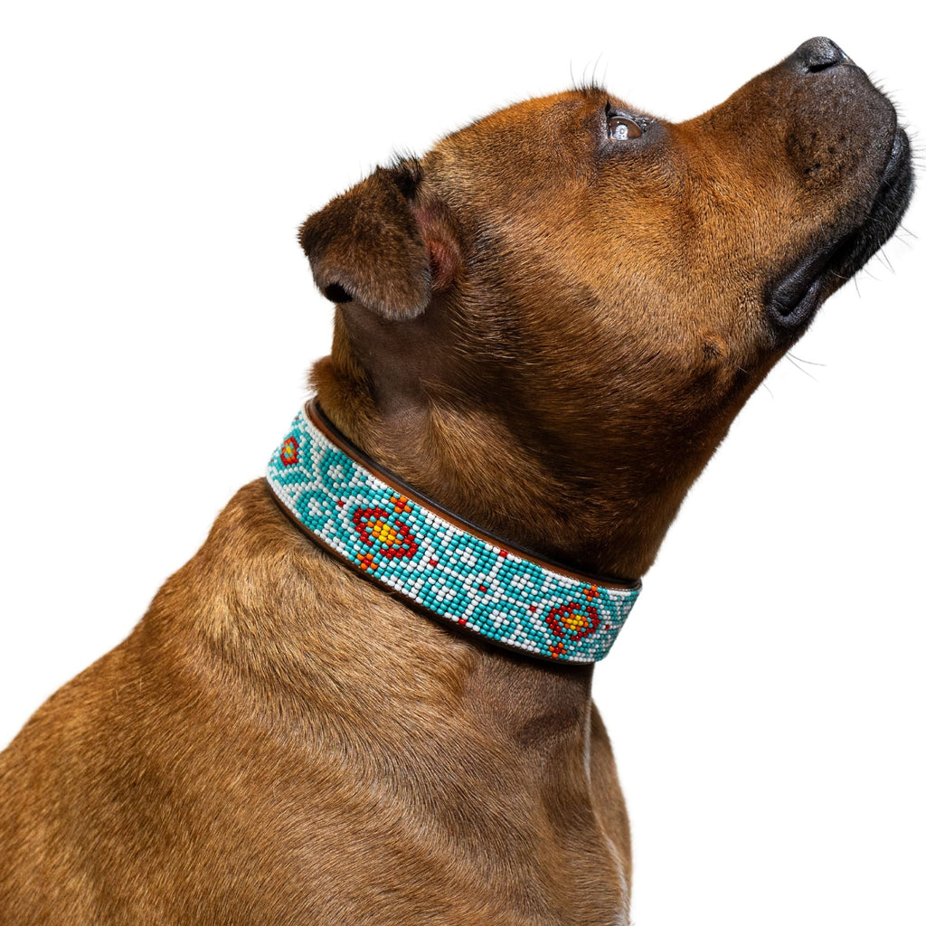 Florence Sambboho dog collar (made to order)