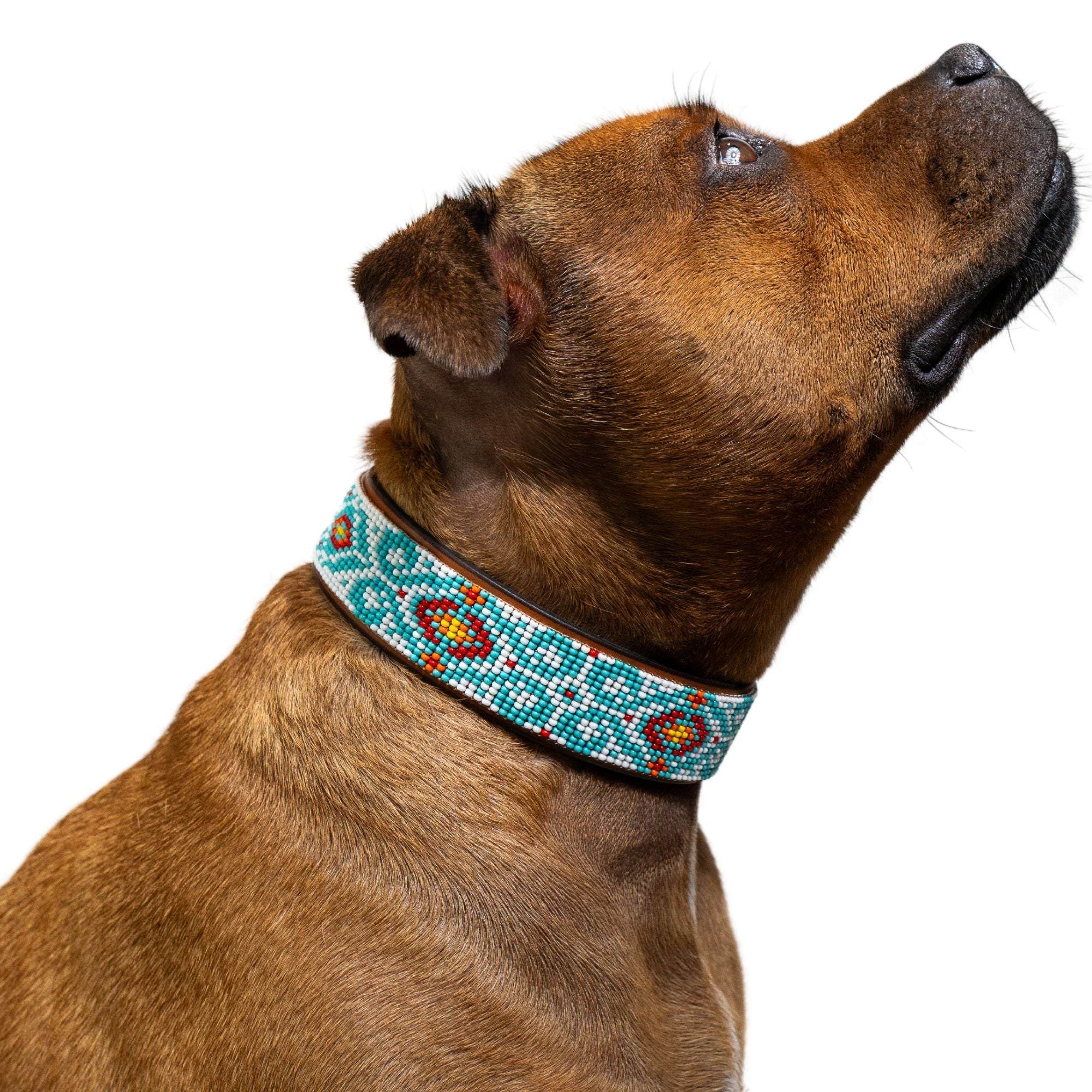 Florence Sambboho dog collar (made to order)