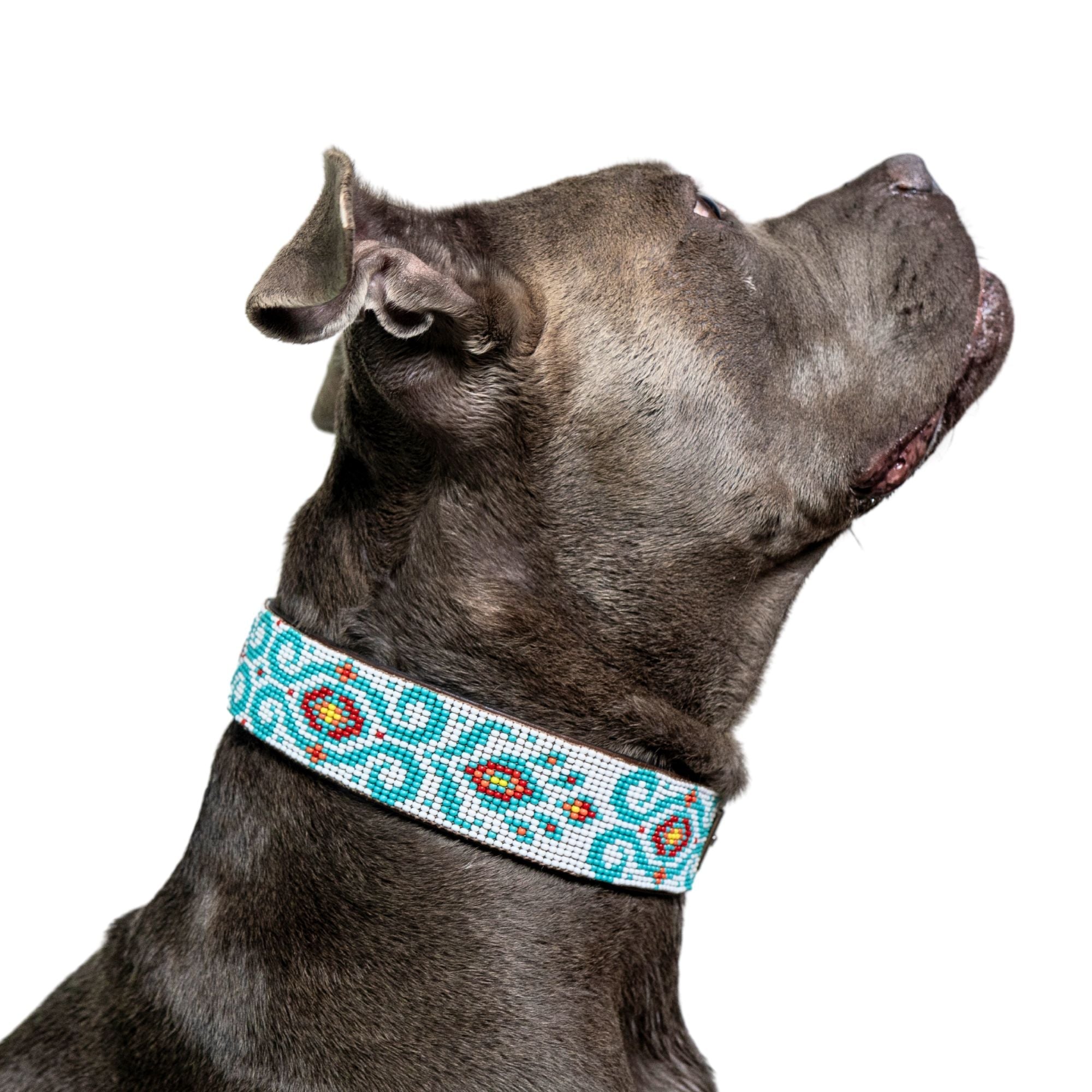 Florence Sambboho dog collar (made to order)