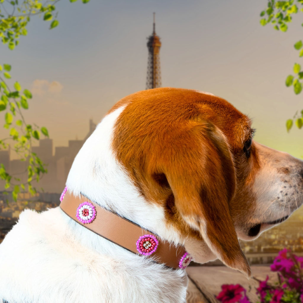Luna Sambboho dog collar (new Eko collection)