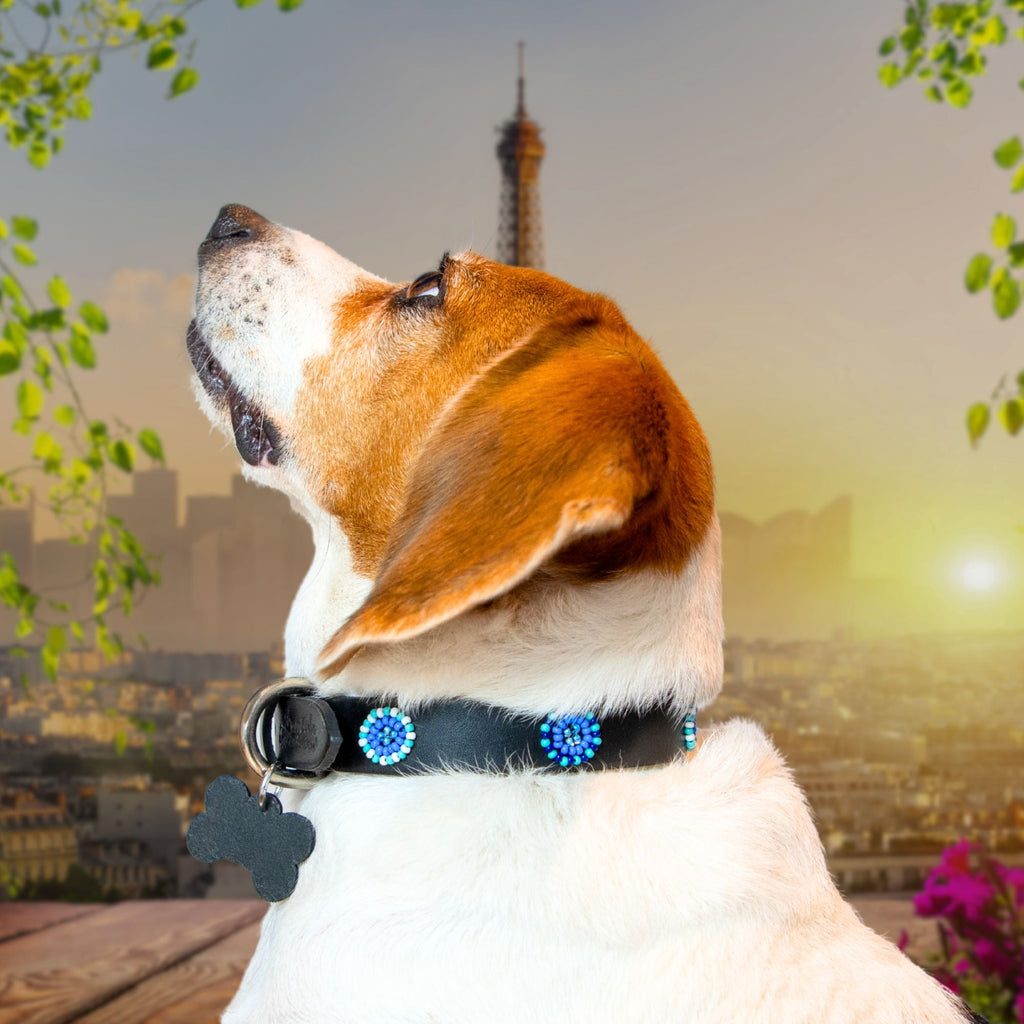 Milo Sambboho dog collar (new Eko collection)
