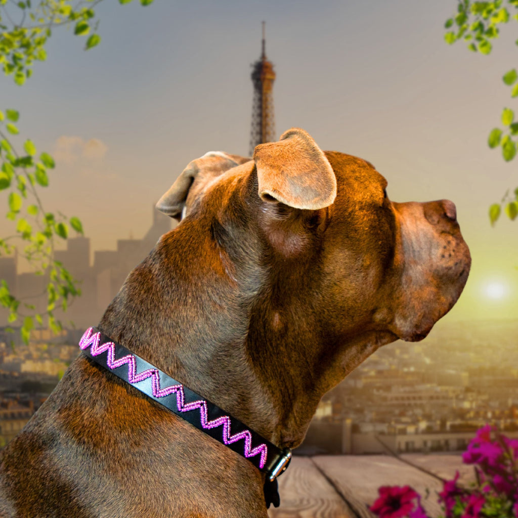 Vera Sambboho dog collar (new Eko collection)