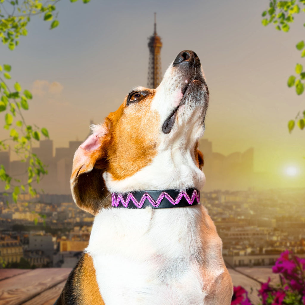 Vera Sambboho dog collar (new Eko collection)