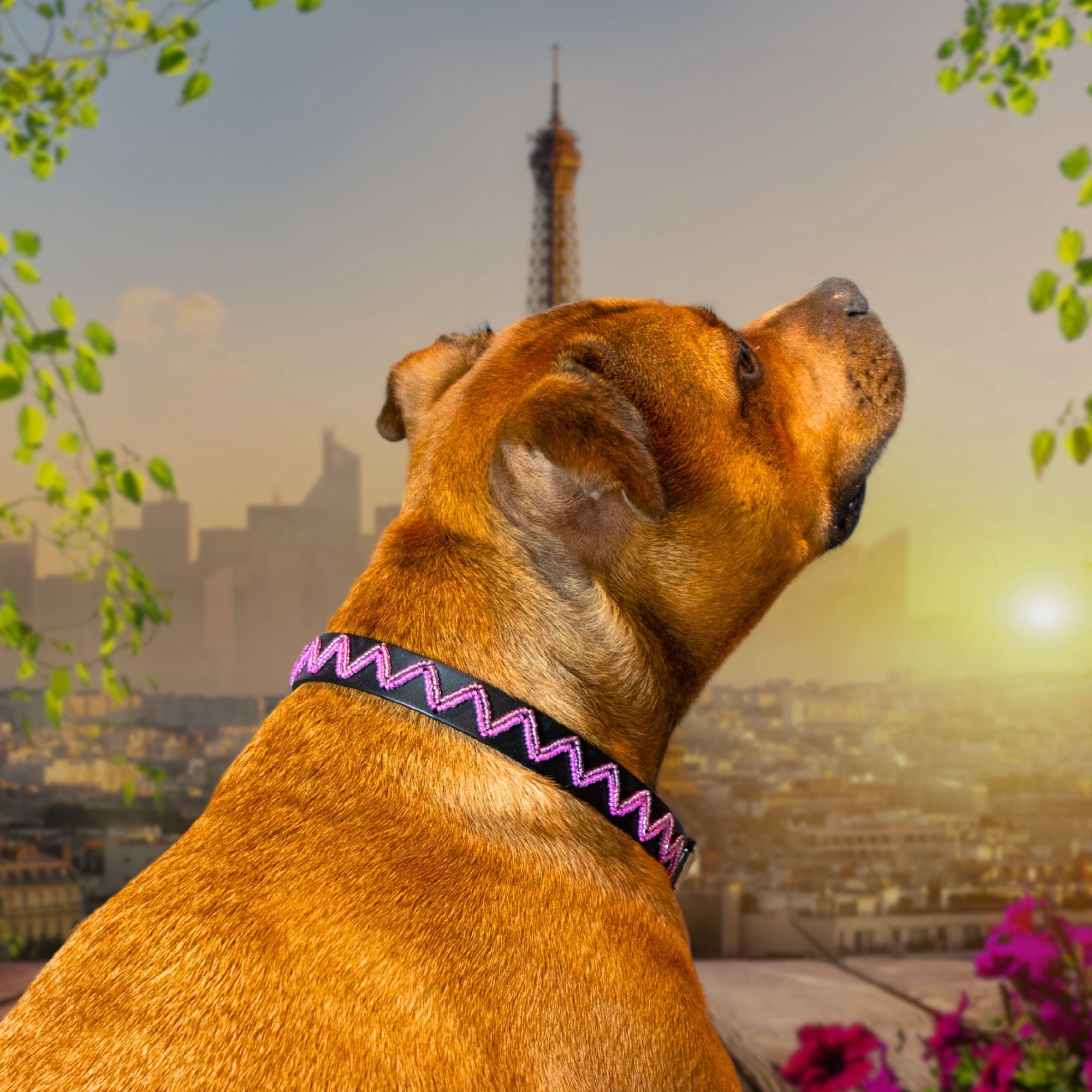 Vera Sambboho dog collar (new Eko collection)